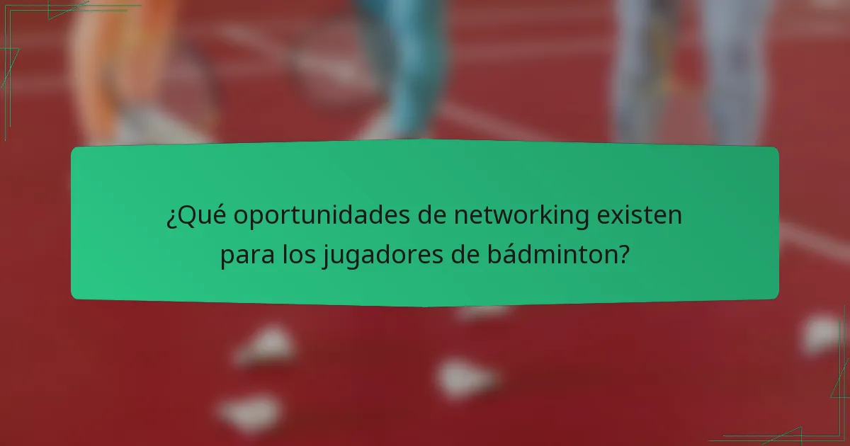 ¿Qué oportunidades de networking existen para los jugadores de bádminton?